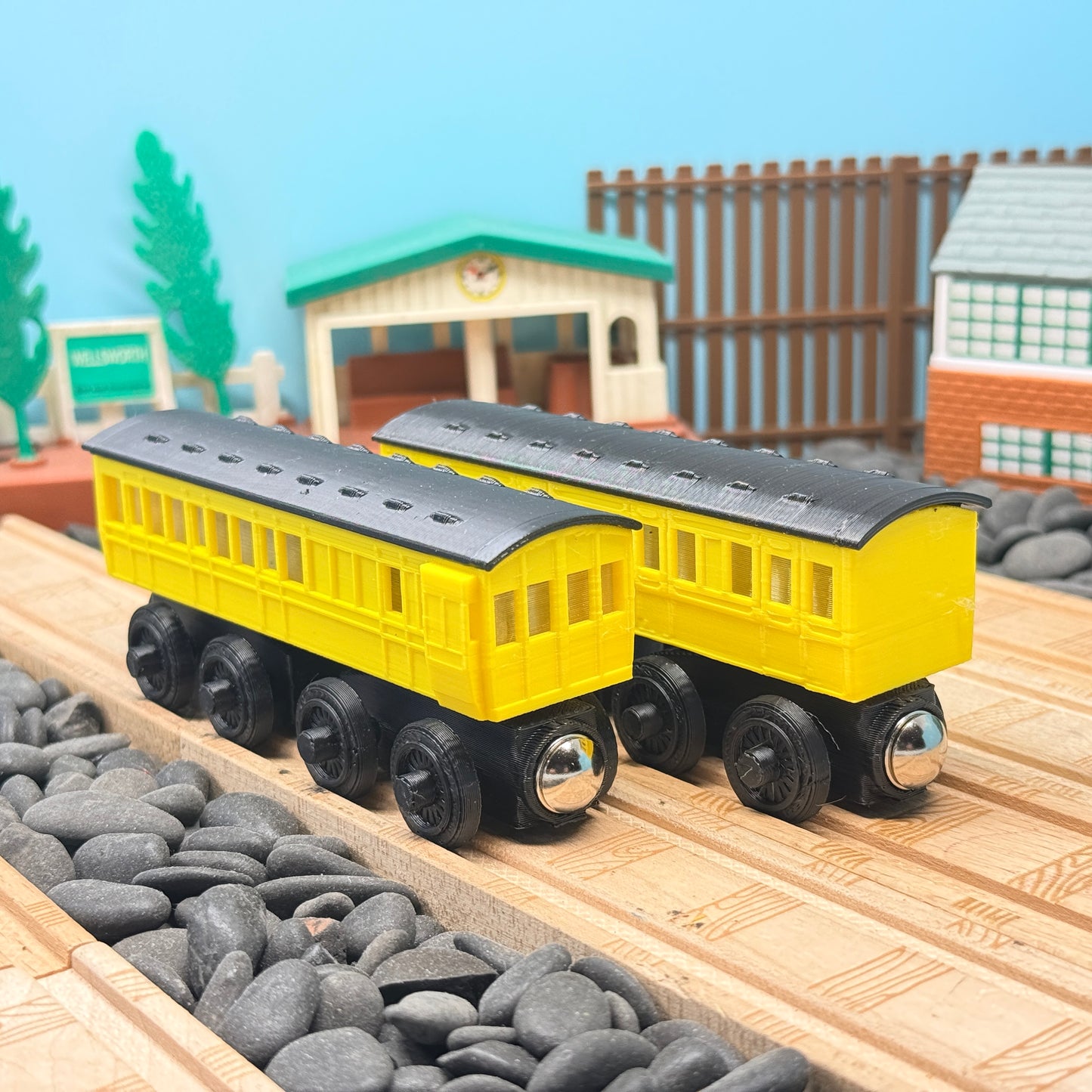 Passenger and Brake Coach Train